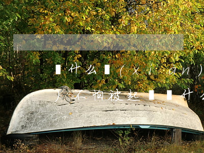 為什么現(xiàn)在人欠錢(qián)不怕被起訴(為什么現(xiàn)在人欠錢(qián)不怕被起訴)