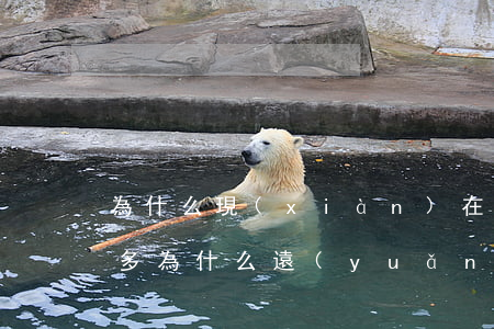 為什么現(xiàn)在信用卡逾期人那么多（為什么遠(yuǎn)離信用卡逾期）