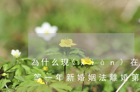 為什么現(xiàn)在第二次起訴離婚要等一年?(新婚姻法離婚第二次起訴要一年了嗎)