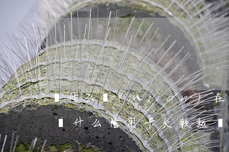 為什么現(xiàn)在這么多人欠卡被貸(為什么信用卡欠款越來越多)