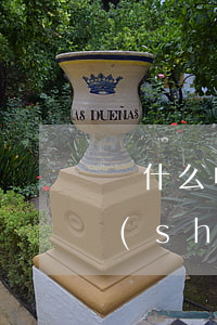 為什么申請網(wǎng)貸不通過我按時(shí)還款-為什么網(wǎng)貸申請不成功