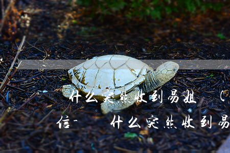 為什么突然收到易姐優(yōu)品逾期短信-為什么突然收到易姐優(yōu)品逾期短信通知