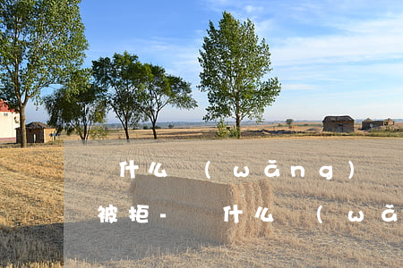 為什么網(wǎng)貸沒有逾期就是申請被拒-為什么網(wǎng)貸沒有逾期就是申請被拒呢