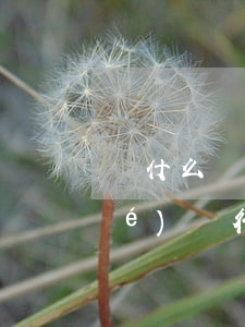 為什么網(wǎng)貸起訴只凍結(jié)銀行卡而已-為什么網(wǎng)貸起訴只凍結(jié)銀行卡而已解凍