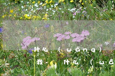 為什么網(wǎng)貸逾期兩年了還不起訴我-為什么網(wǎng)貸逾期兩年了還不起訴我呢