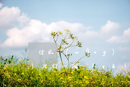 為什么網(wǎng)貸逾期電話(huà)只打一段時(shí)間-網(wǎng)貸逾期后接電話(huà)為什么不說(shuō)話(huà)