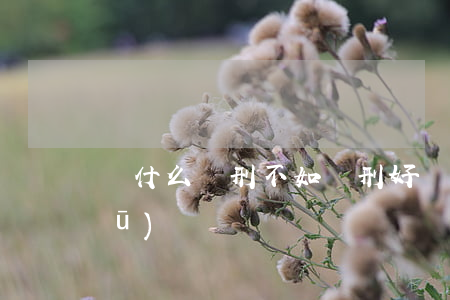 為什么緩刑不如實刑好(緩刑和實刑的區(qū)別)