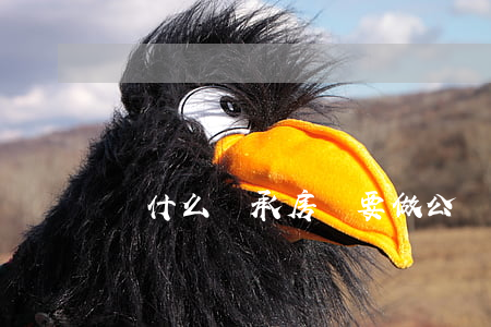 為什么繼承房產要做公證(繼承需要公證嗎)