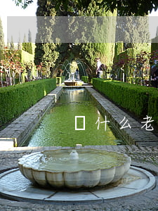 為什么老公想離婚我該怎么辦