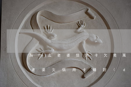 為什么老婆信用卡欠幾萬(wàn)還亂花(老婆欠信用卡錢對(duì)老公有什么影響)