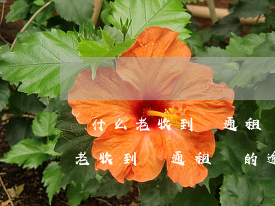 為什么老收到匯通租賃的逾期短信-為什么老收到匯通租賃的逾期短信呢