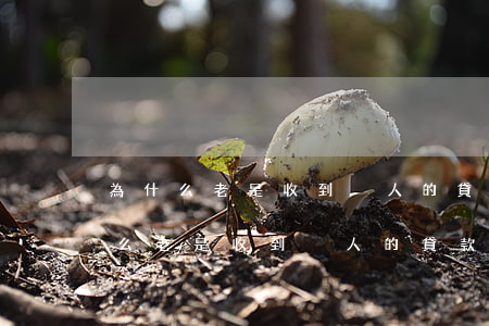 為什么老是收到別人的貸款逾期信息-為什么老是收到別人的貸款逾期信息還打電話(huà)