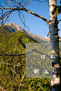 為什么花唄9號(hào)就逾期了(花唄逾期九個(gè)月說下午三點(diǎn)之前不還進(jìn)去要交法院)