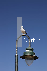為什么花唄不能逾期(花唄為什么不能延期還了)
