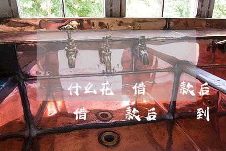 為什么花唄借唄還款后還沒到賬-為什么花唄借唄還款后還沒到賬呢