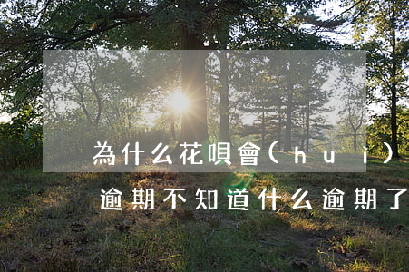 為什么花唄會(huì)顯示逾期(花唄顯示逾期不知道什么逾期了怎么處理)
