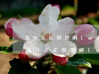 為什么花唄跟網(wǎng)商貸用不了-為什么花唄跟網(wǎng)商貸用不了了