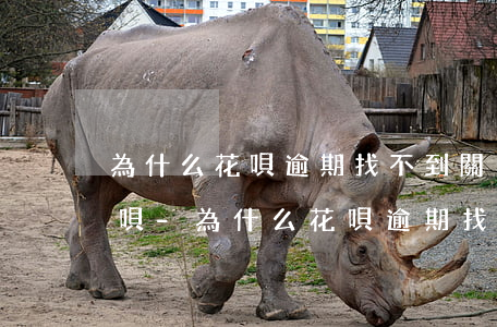 為什么花唄逾期找不到關(guān)閉花唄-為什么花唄逾期找不到關(guān)閉花唄的記錄