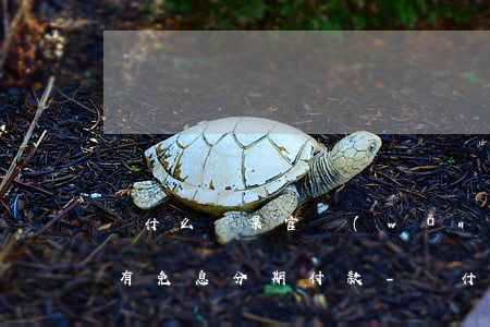 為什么蘋果官網(wǎng)沒(méi)有免息分期付款-為什么蘋果官網(wǎng)沒(méi)有免息分期付款了