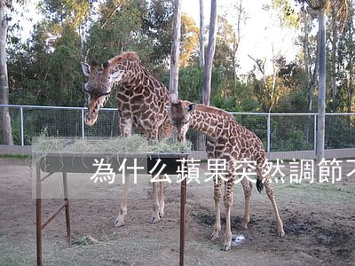 為什么蘋果突然調節不了亮度（更名房逾期）