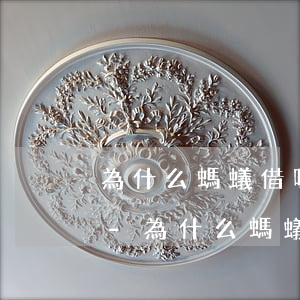 為什么螞蟻借唄沒(méi)有12月還款-為什么螞蟻借唄沒(méi)有12月還款了