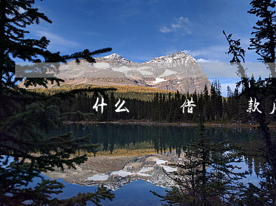 為什么螞蟻借唄還款后就降額度-