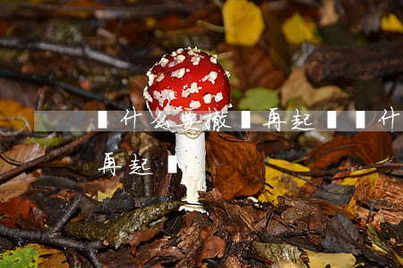 為什么要撤訴再起訴(為什么一審撤訴后可以再起訴)
