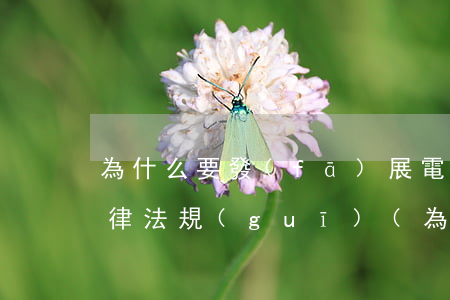為什么要發(fā)展電子商務(wù)法律法規(guī)(為何要進行電子商務(wù)立法)