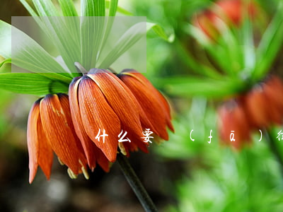為什么要發(fā)律師涵(收到律師涵怎么辦)