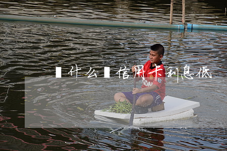 為什么說信用卡利息低