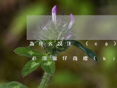 為什么說注冊(cè)商標(biāo)前，必須做好商標(biāo)檢索