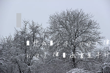 為什么請(qǐng)律師(為什么請(qǐng)律師法官是干什么的)