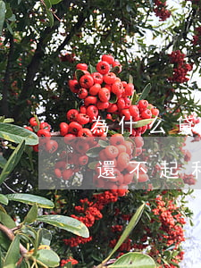 為什么貸款還完了還不起(為什么貸款還完了還不起利息)