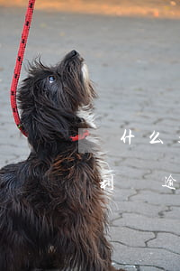 為什么超利貸逾期了也沒打電話-為什么超利貸逾期了也沒打電話給家人