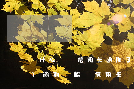 為什么車貸信用卡逾期了(車貸有過(guò)逾期還能辦信用卡嗎)
