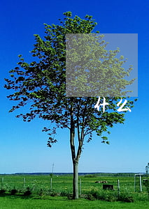 為什么辦不下來停息掛賬(怎么辦理掛賬停息)
