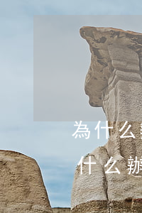 為什么辦理了停息掛賬信用卡賬單沒變-為什么辦理了停息掛賬信用卡賬單沒變化