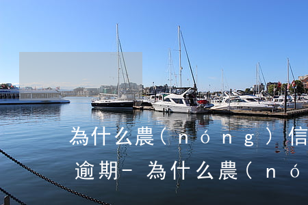 為什么農(nóng)信還進去了還是顯示逾期-為什么農(nóng)信還進去了還是顯示逾期呢