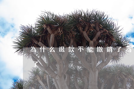 為什么退款不能撤銷了(為什么退款不能撤銷了)