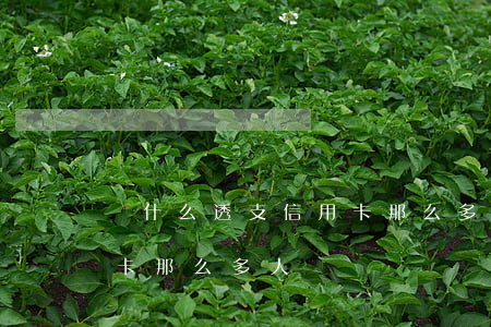 為什么透支信用卡那么多人(為什么透支信用卡那么多人)