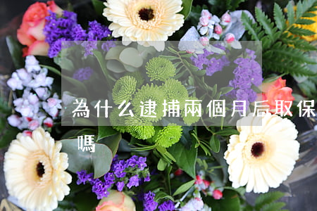 為什么逮捕兩個月后取保(取保出來還會逮捕嗎)