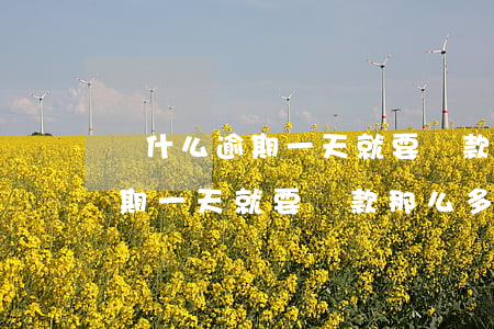 為什么逾期一天就要罰款那么多-為什么逾期一天就要罰款那么多呢