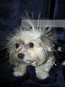 為什么逾期了銀行不催（北京銀行信用卡逾期也沒人催）
