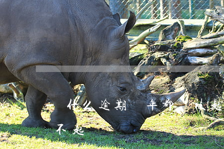 為什么逾期兩年都沒被起訴(逾期了起訴仍還不起)