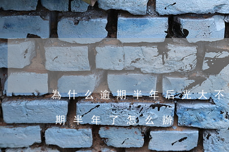 為什么逾期半年后光大不漲利息了-光大逾期半年了怎么辦