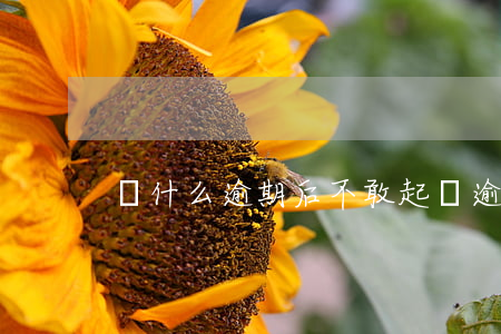 為什么逾期后不敢起訴(逾期不起訴怎么辦)