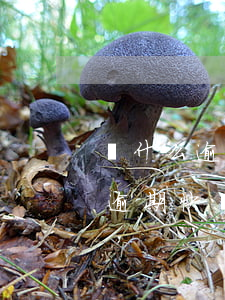為什么逾期快兩年了銀行還不起訴-為什么逾期快兩年了銀行還不起訴呢