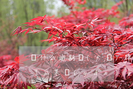 為什么逾期發(fā)律師函(逾期律師函來了后果嚴(yán)重嗎)