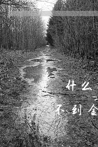 為什么逾期的金額微信看不到了(微信怎么看不到金額)