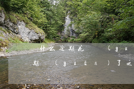 為什么逾期花唄關(guān)閉了(花唄逾期關(guān)了之后是不是就是不能再用了)